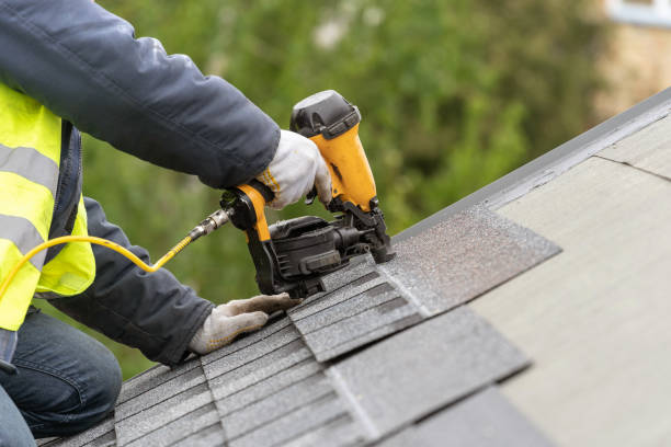 Best Roof Moss and Algae Removal  in Apalachicola, FL