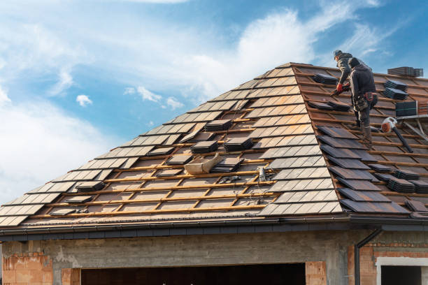 Best Emergency Roof Repair Services  in Apalachicola, FL